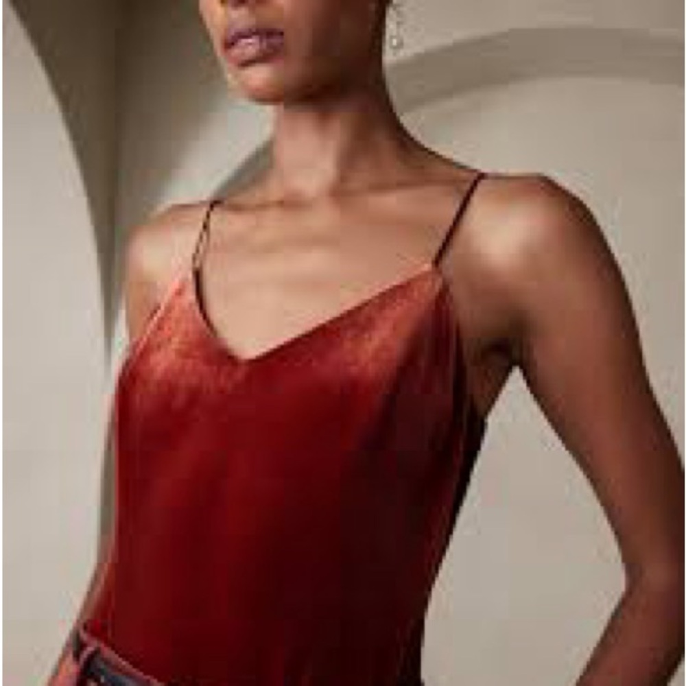 Banana Republic Elegant Rust Cami
